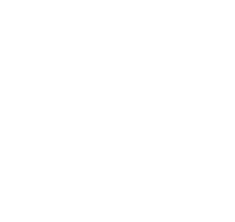BELLY & BACK BAND